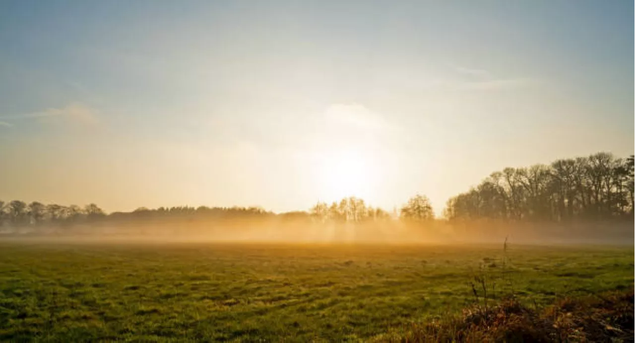 Cool day expected in Gauteng and morning fog
