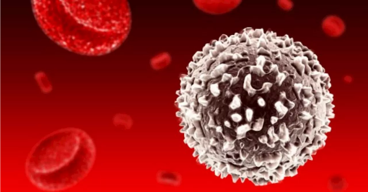Projeto busca cortar pela metade custo de tratamento para câncer no sangue
