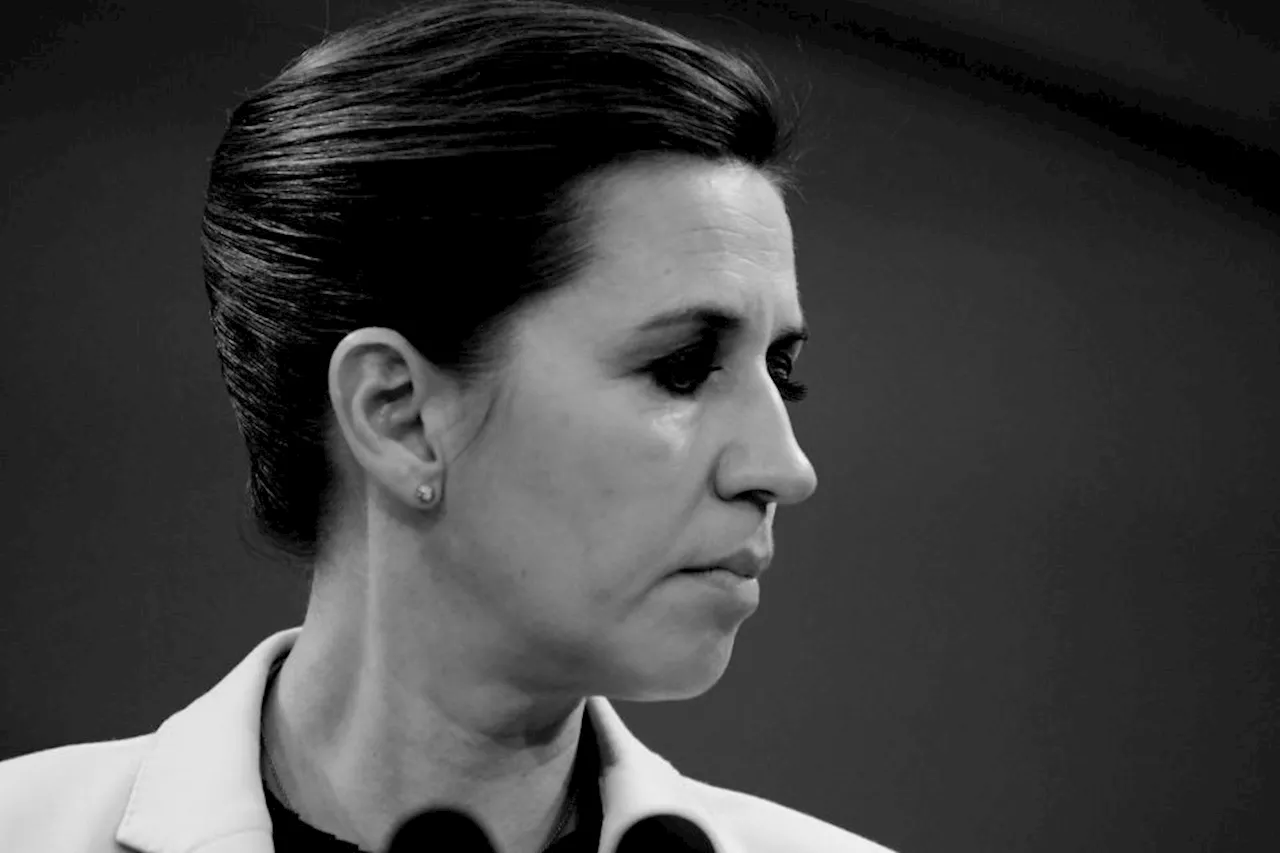 Frederiksens EU-forslag kaldes »en autoritær leders drøm«