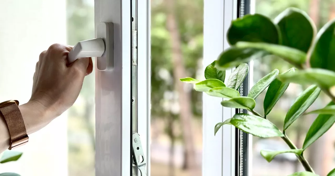 UK households told to open windows at this exact time tonight