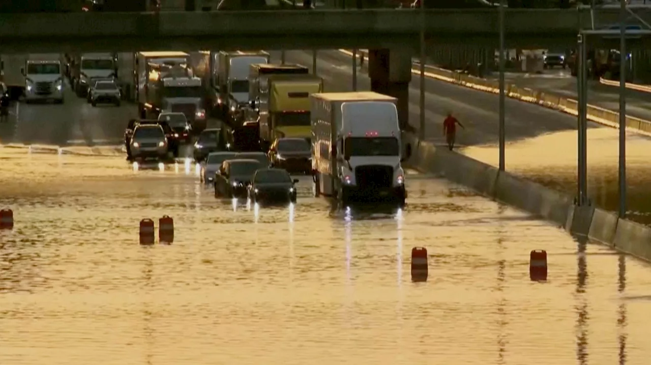 Parents, child killed when tree falls on their car during storms, flooding