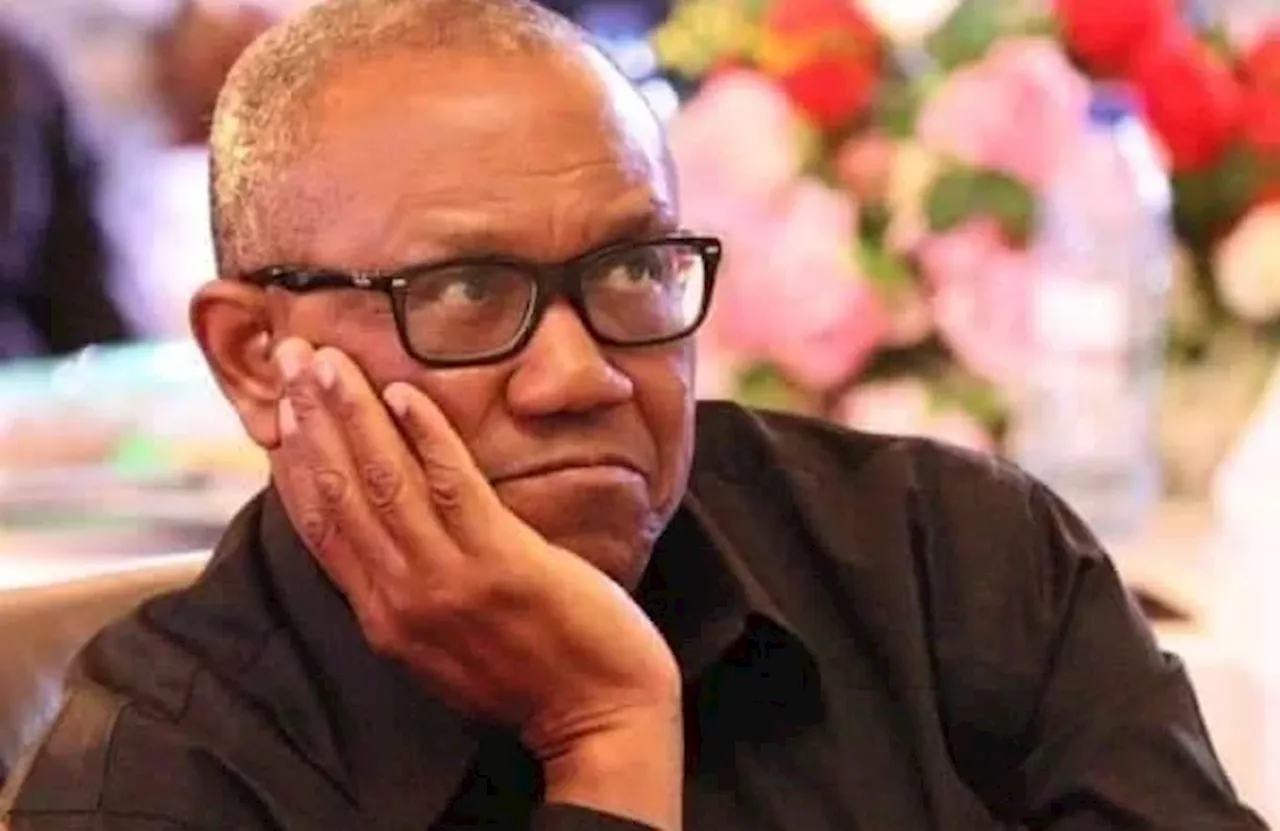 Presidential aide to Peter Obi: Tinubu's policies caused less pain compared to Argentina's reforms