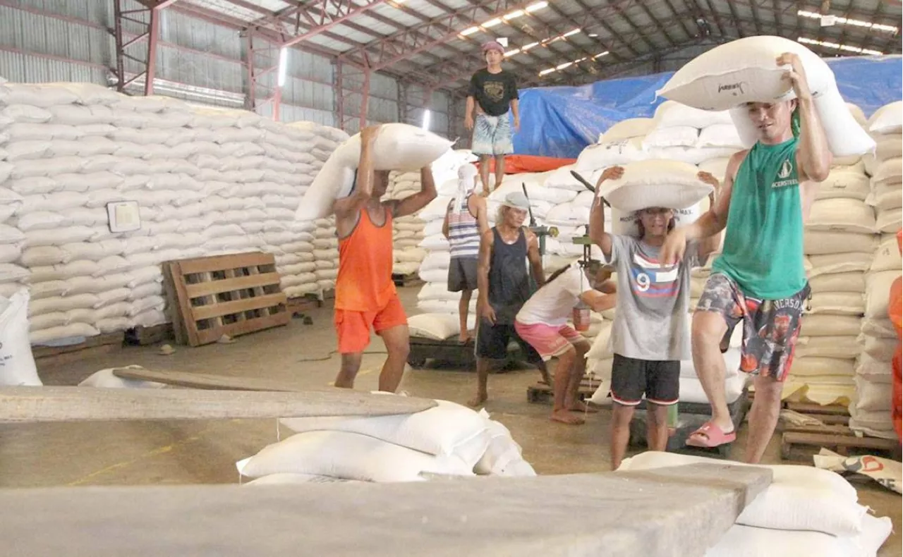 P20/kg rice program expanded to farmers; millions to benefit