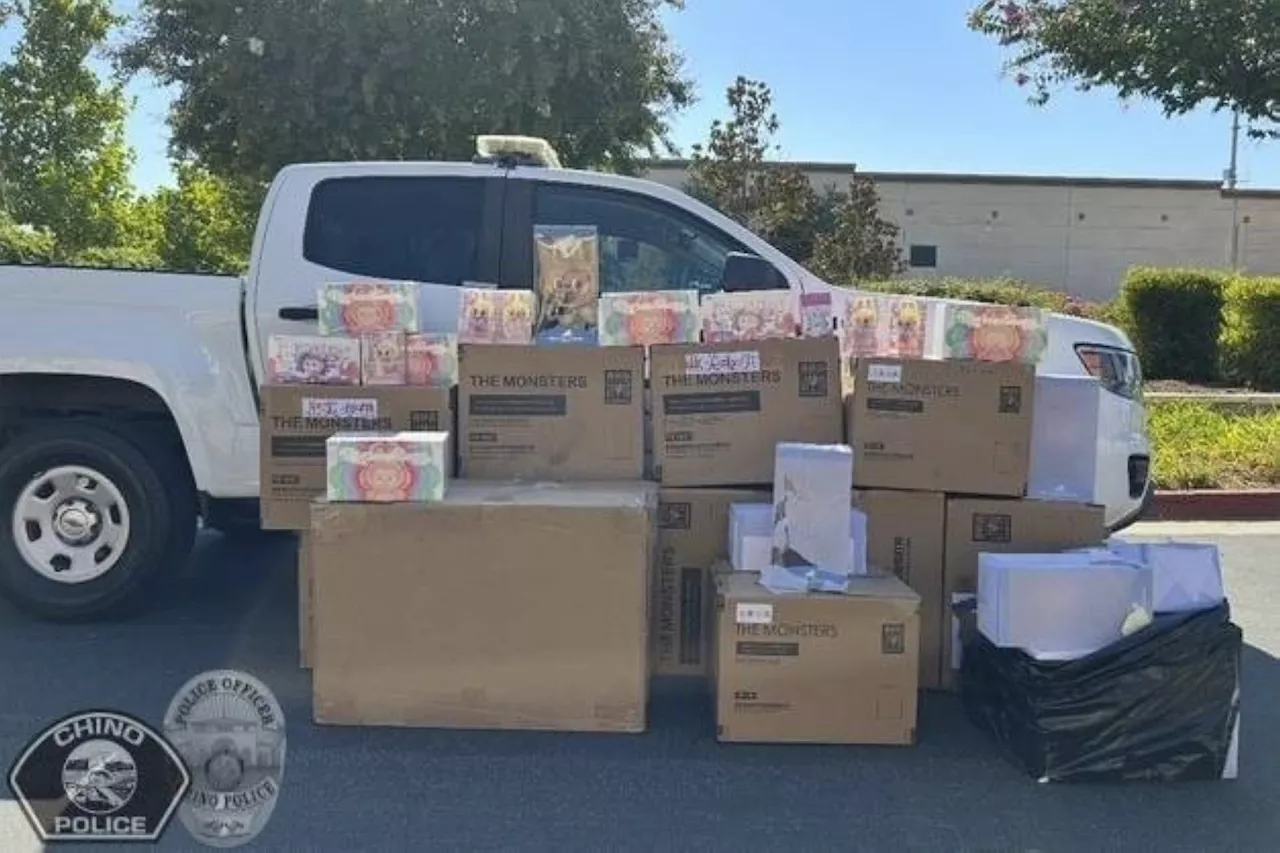 Police in Southern California find $30K worth of Labubus stolen from warehouse