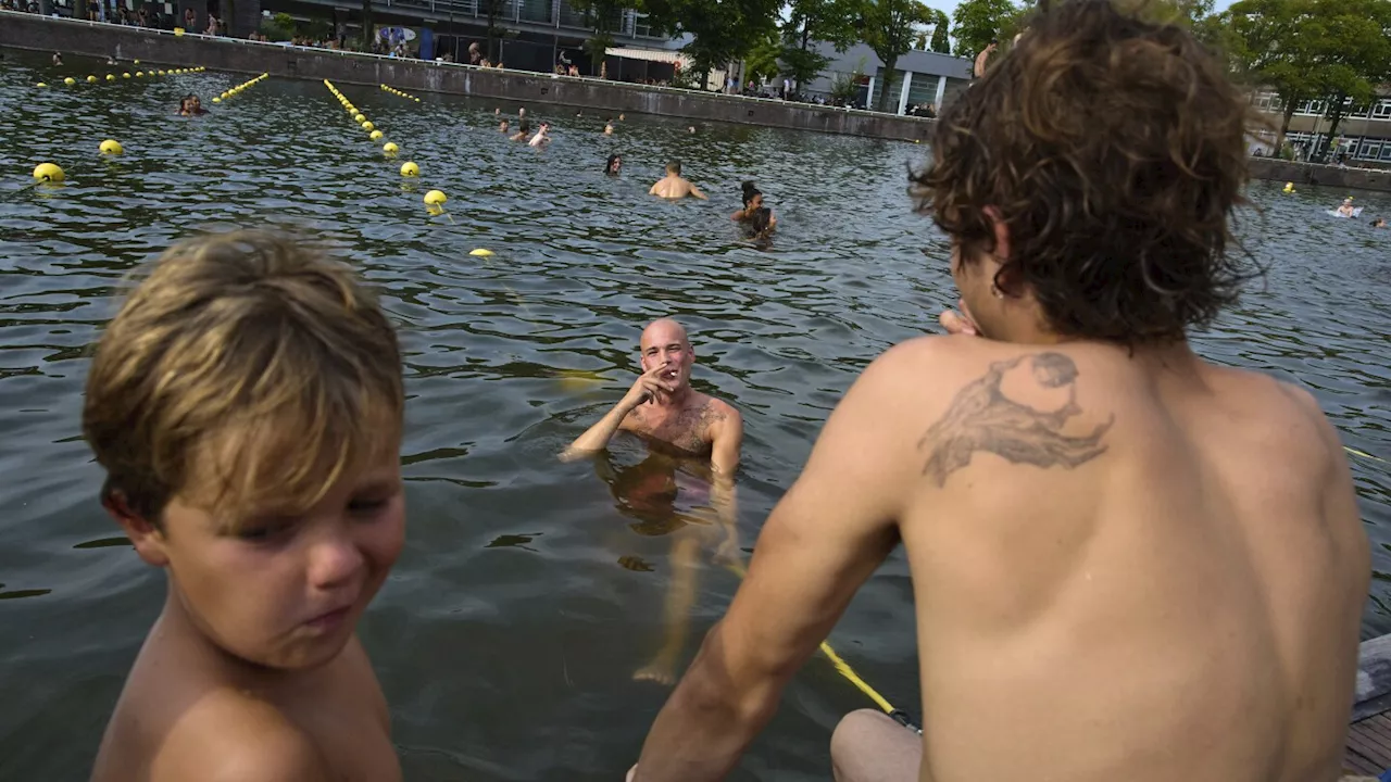 Wild swimming is on the rise in the Netherlands