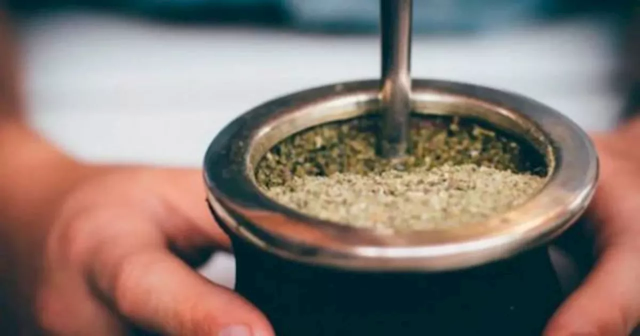 CHAU STRESS: la HIERBA para agregar al MATE que ayuda a relajar y es antiinflamatoria