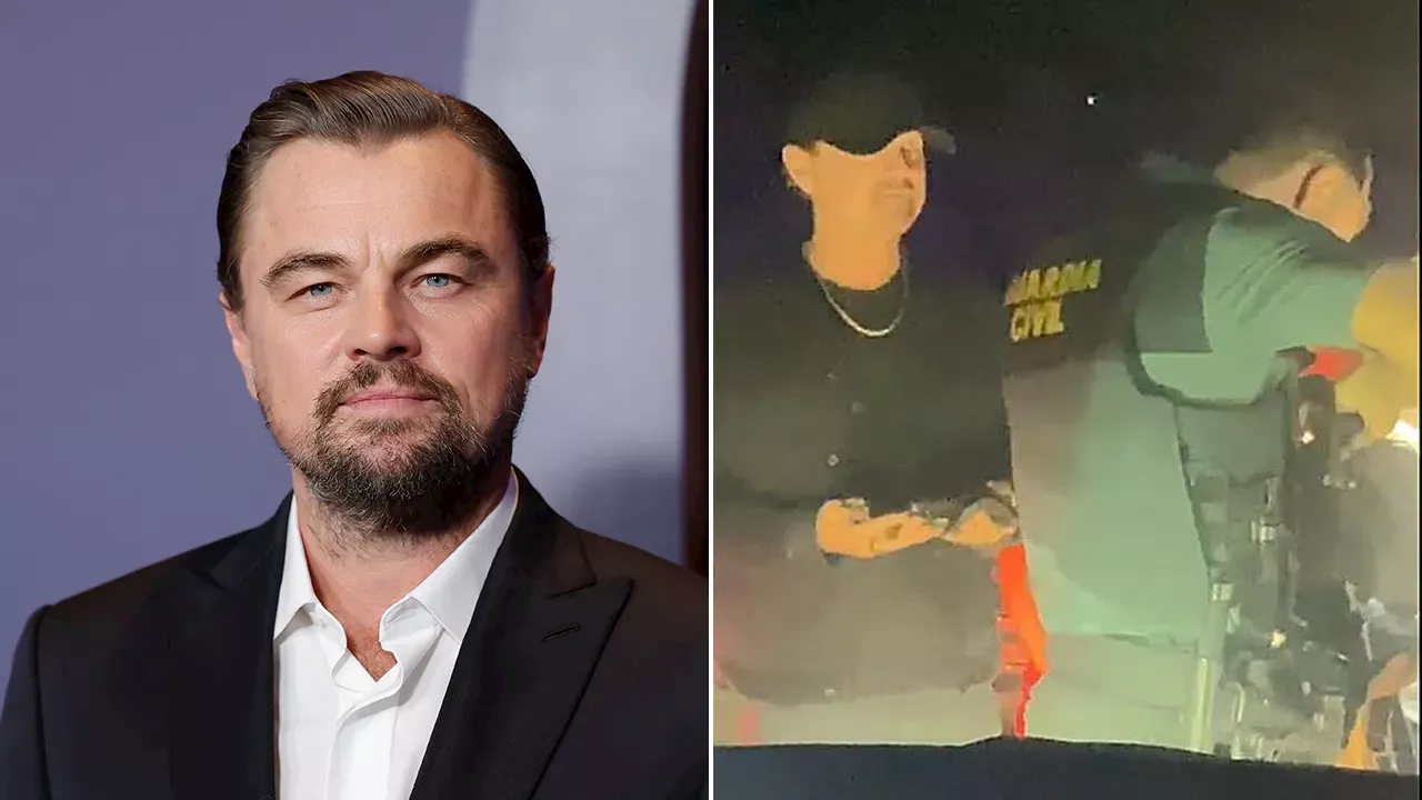 Leonardo DiCaprio Patiently Undergoes Security Check Before Ibiza Party