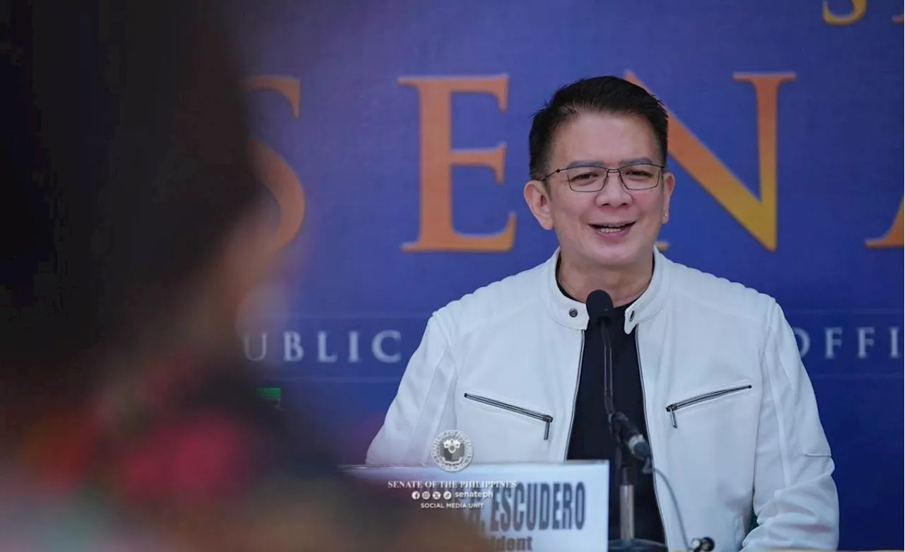 [Rappler Investigates] Chiz, geez!
