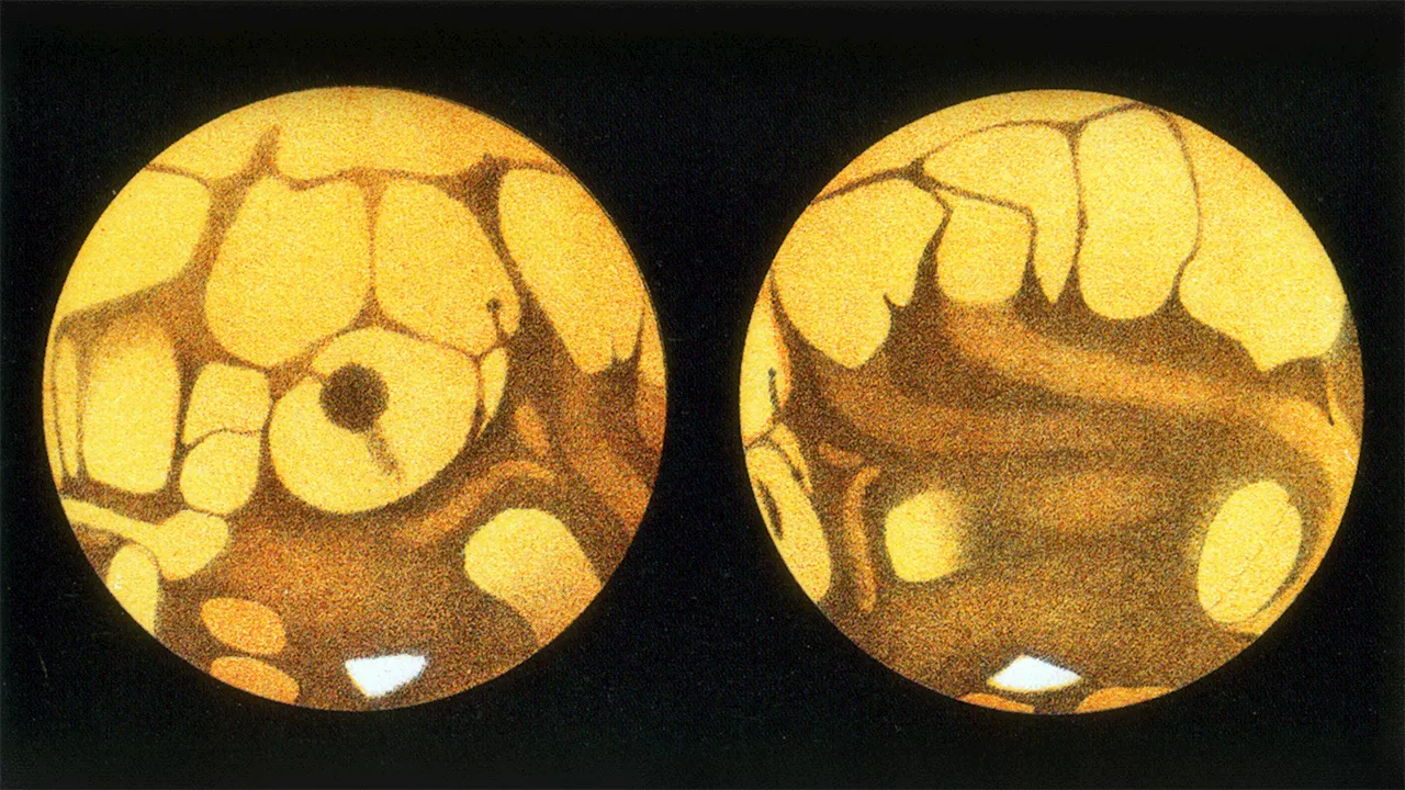 How alien ‘canals’ sparked debate over life on Mars