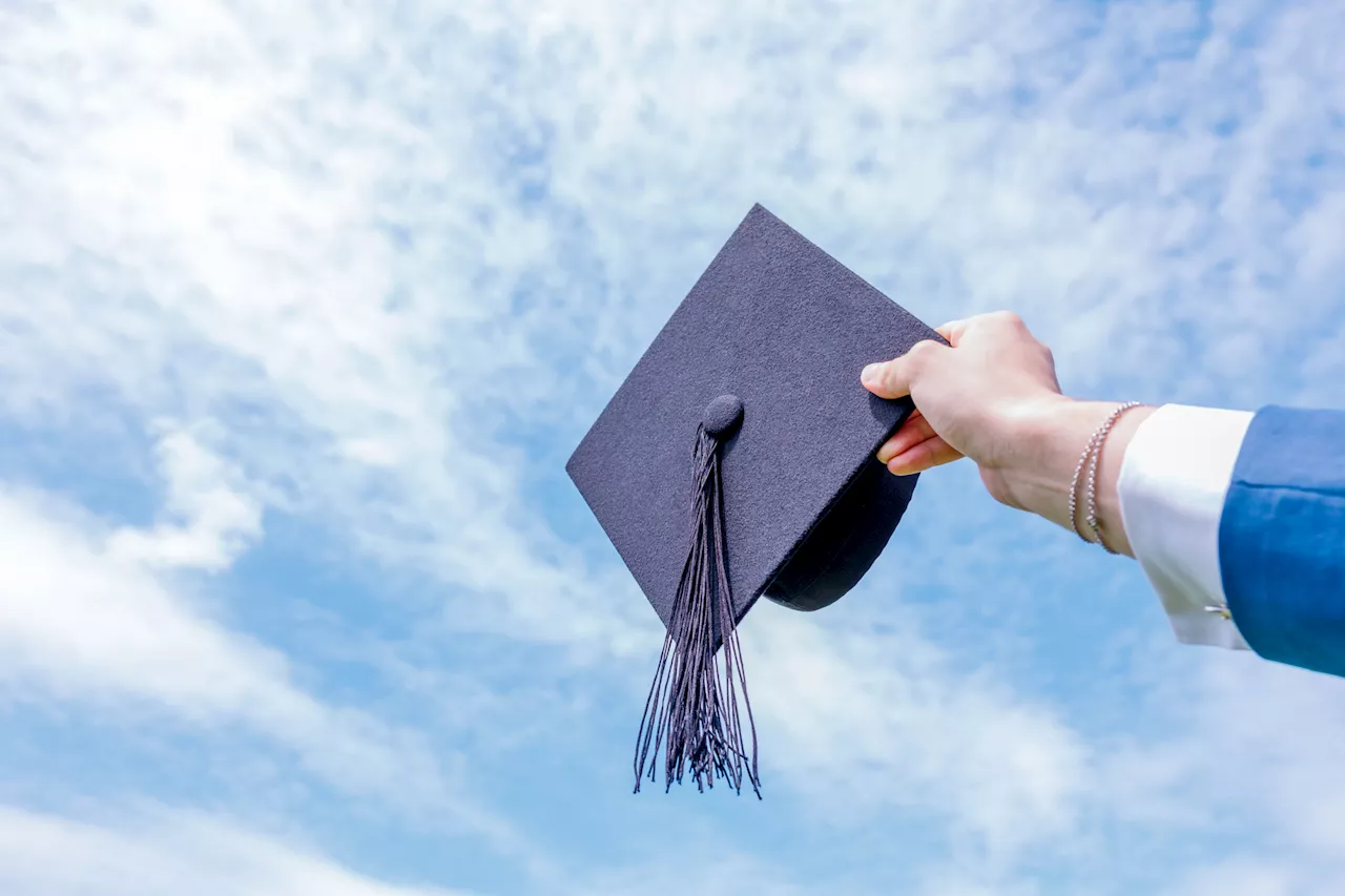So you want to be a designer? Read this before you apply to art school