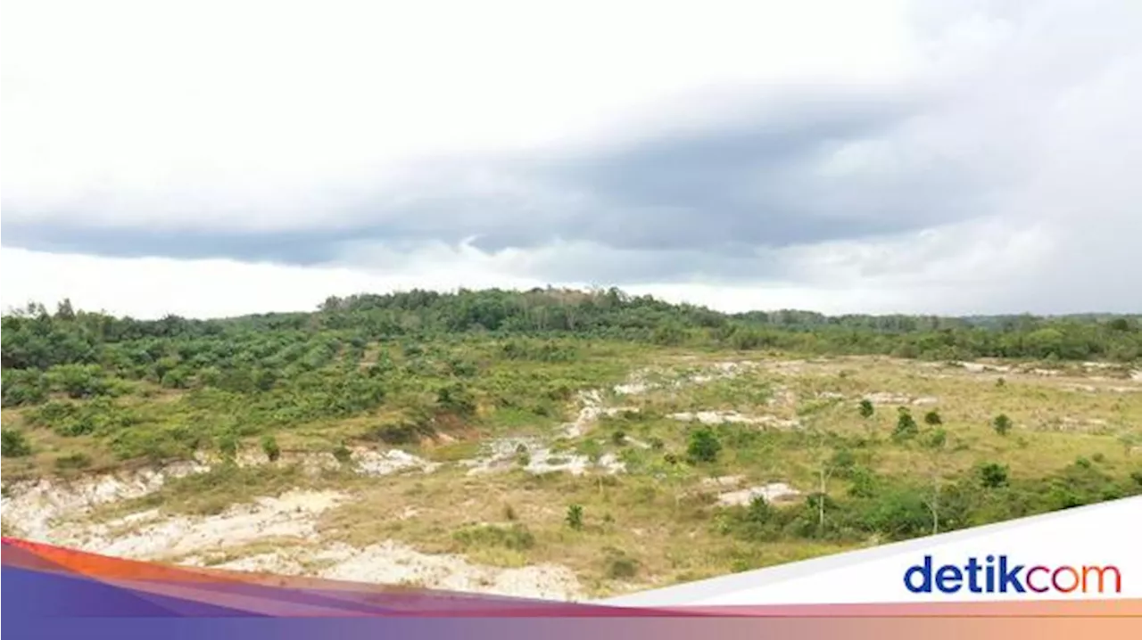 Bank Tanah Pakai Lahan 4 Hektare di Poso buat Program Ketapang