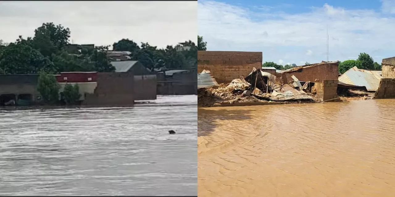 Flood hits Yobe after heavy rain, submerges buildings, displaces residents (PHOTOS)