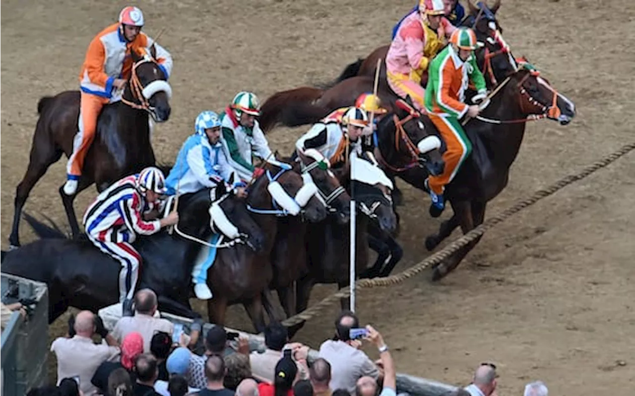 Palio di Siena dell'Assunta, le contrade partecipanti: fantini e cavalli favoriti