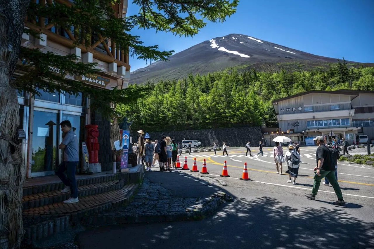 Hiker found dead after bear attack in Japan forest