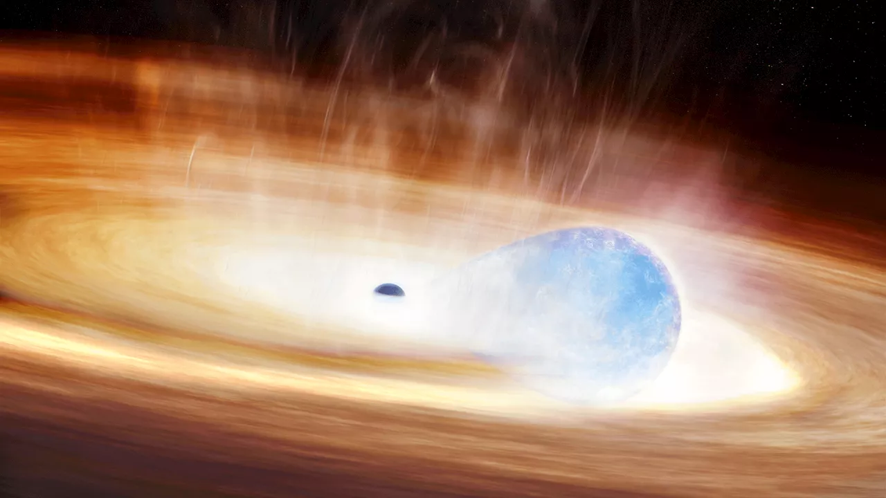 Astronomers may have observed a star’s death while devouring a black hole: Report