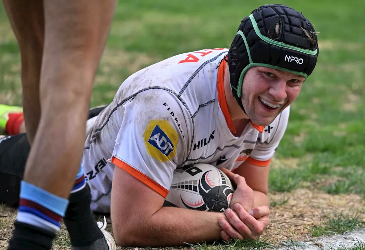 Cheetahs survive WP scare, Lions hold off Pumas
