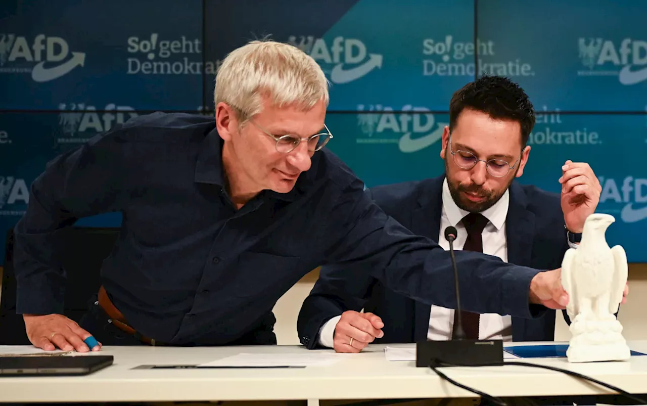 Umfrage: 68 Prozent rechnen 2026 mit AfD-Ministerpräsident