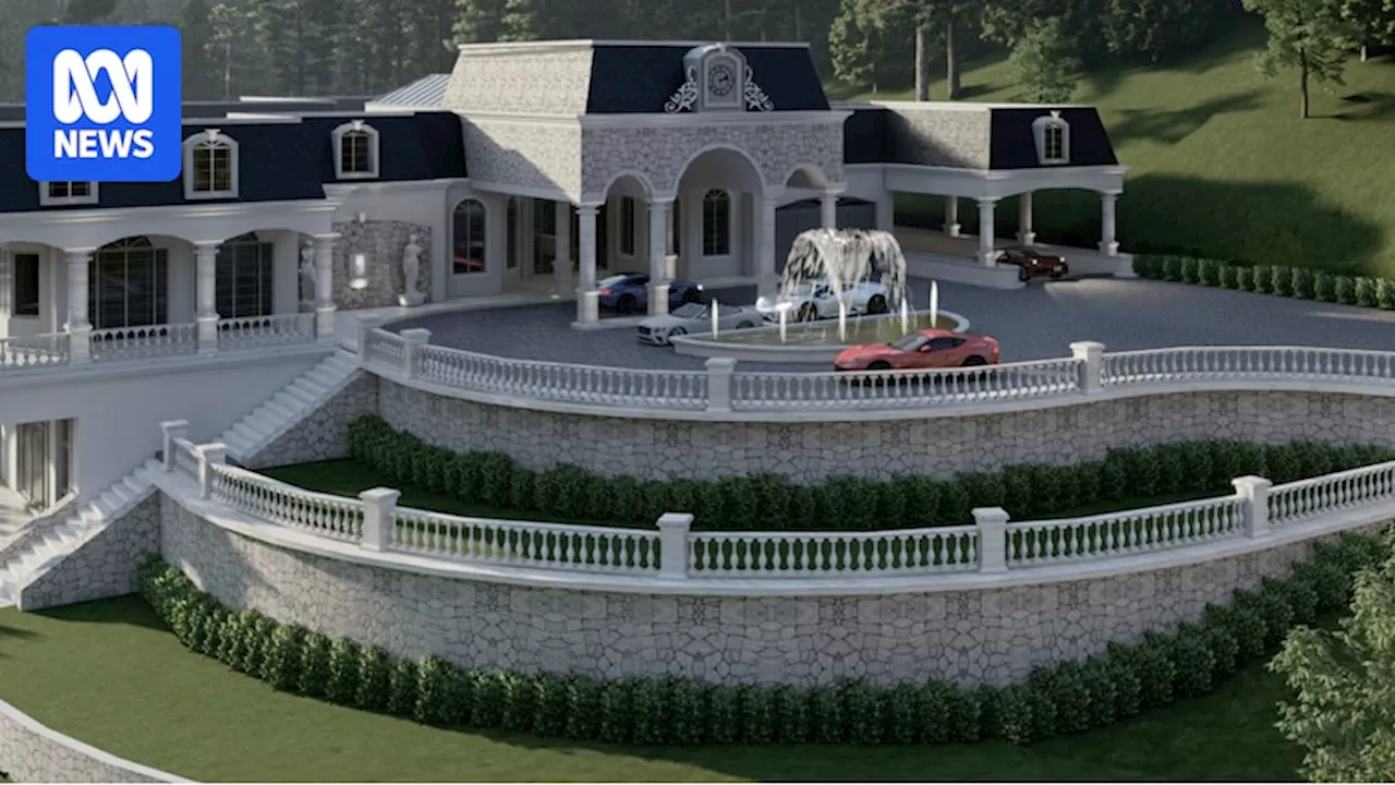 Sydney developer gets 'slap on the wrist' after illegally clearing hundreds of trees to build $3 million mansion