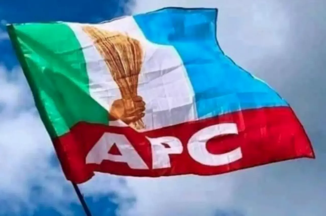 Imposition, poor decision reason APC lost Ibadan North bye-election