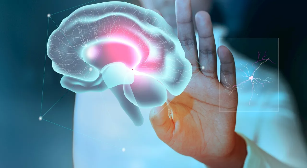 Alzheimer o semplice perdita della memoria? L'esperto spiega come distinguerli e quali sono i campanelli d'allarme