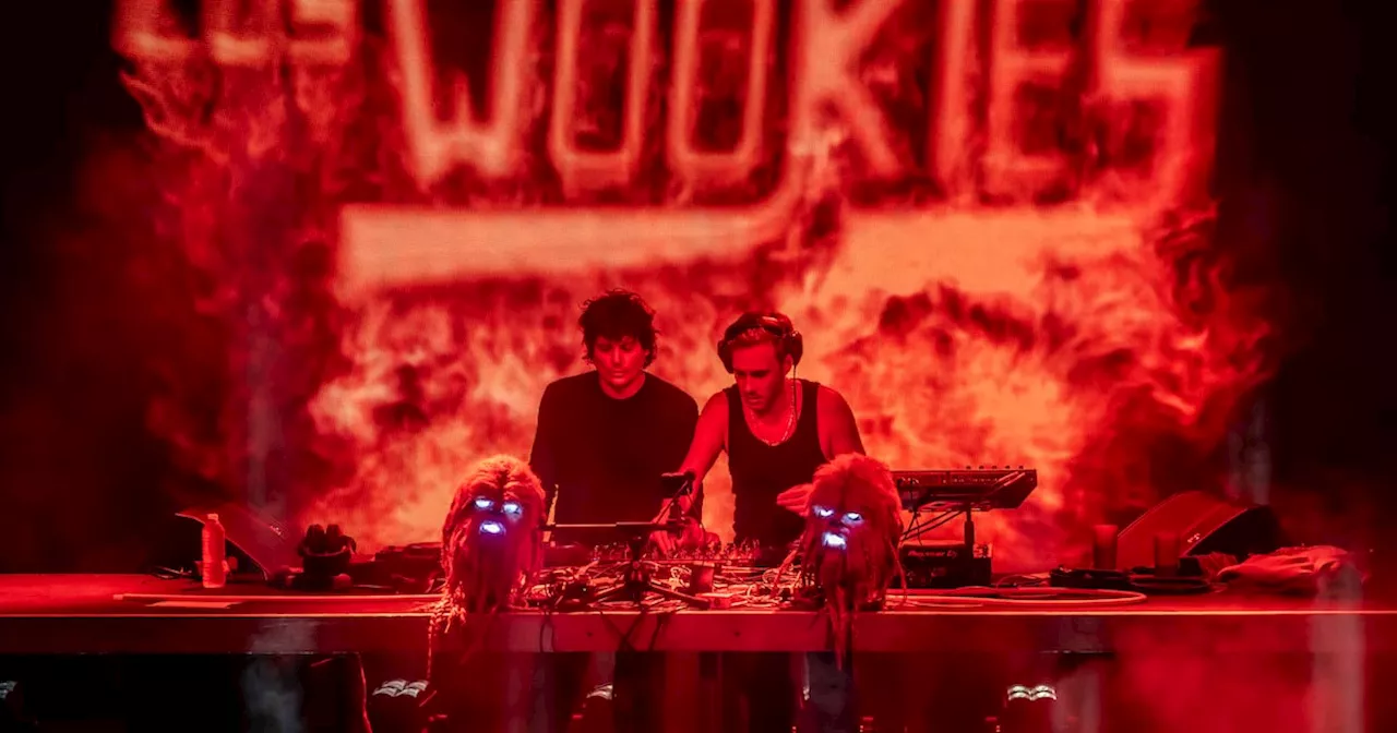 The Wookies ¿El nuevo New Wave de los Millennieals?
