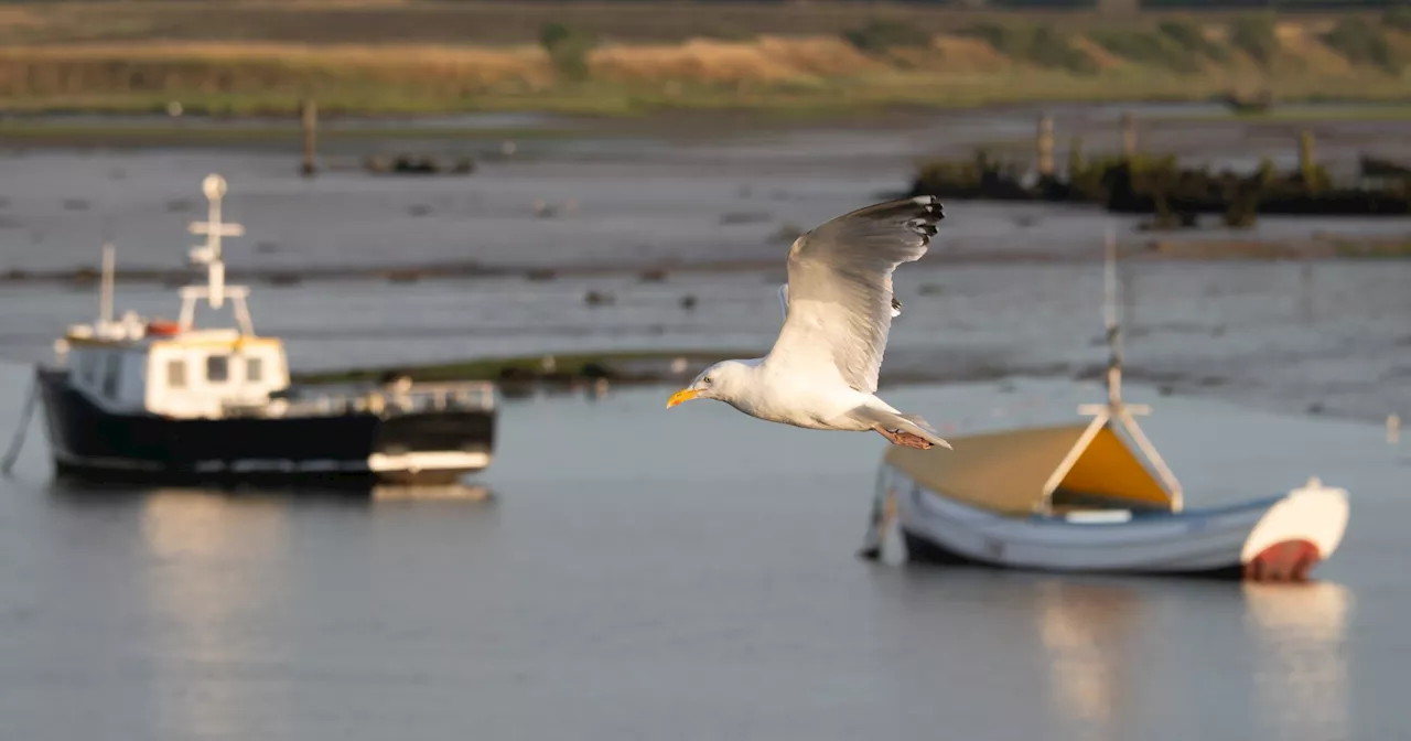 Understanding Aperture and Its Impact on Photography