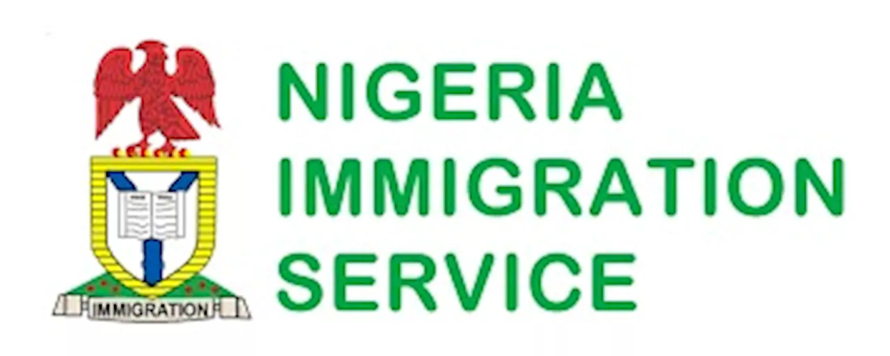 Cybercrime: Nigeria Deports First Batch of 192 Chinese, Philippine Convicts