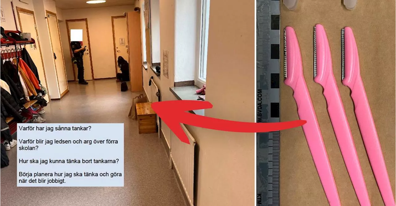 Flickan planerade skoldåd – döms till rättspsykiatrisk vård