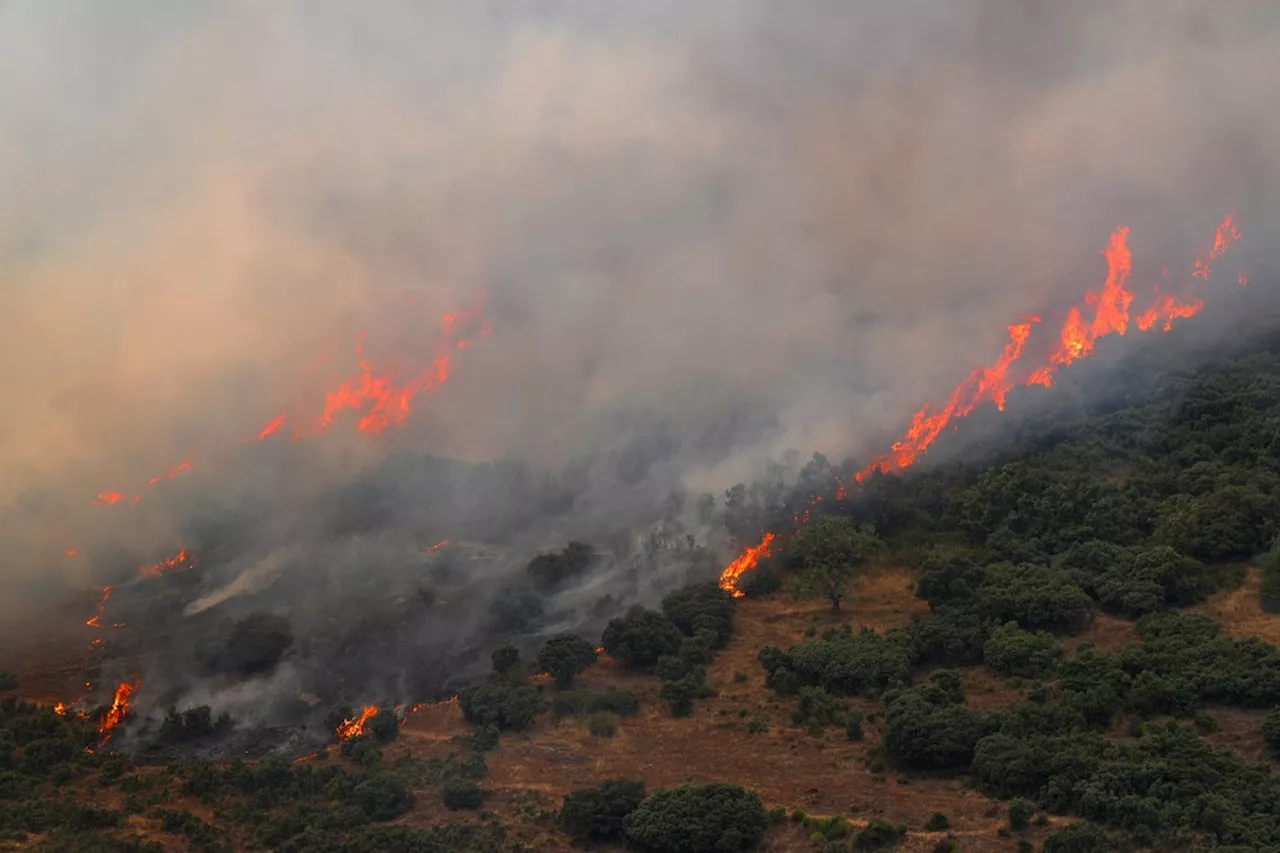Espanha e Portugal trabalham no combate de mais de 20 grandes incêndios; seis pessoas morreram