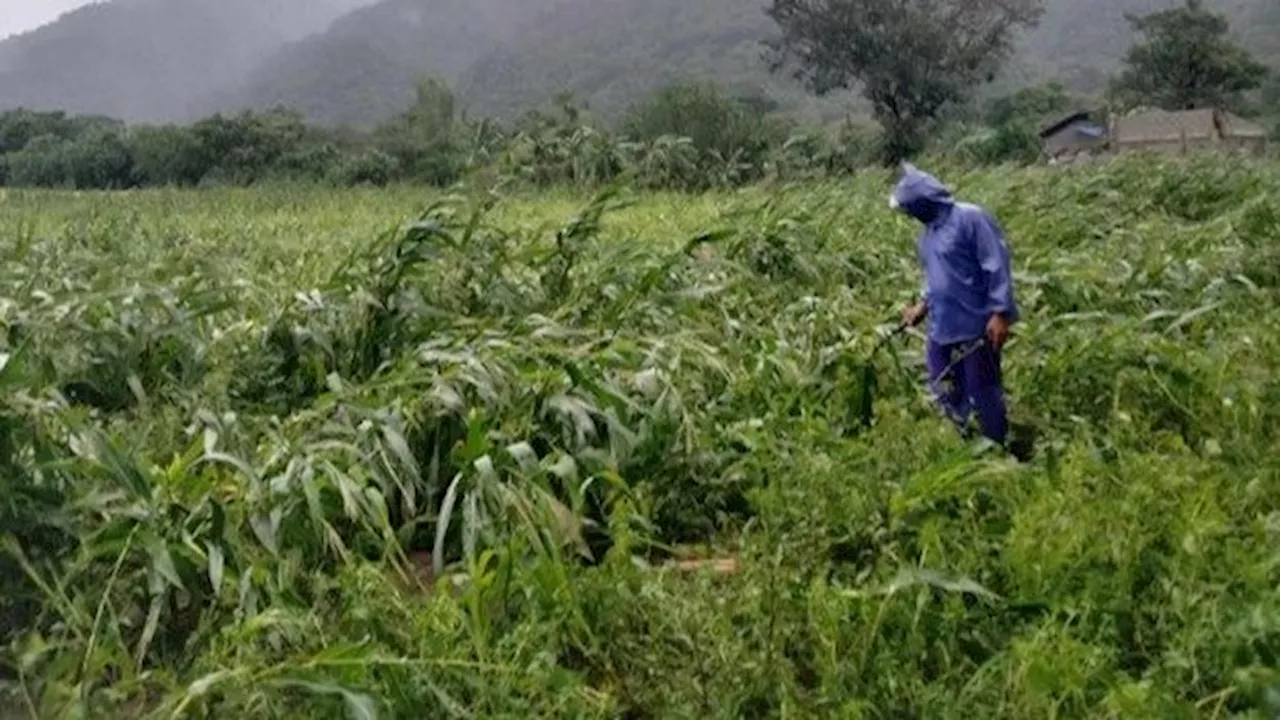 Less damage for agri sector if flood control is effective
