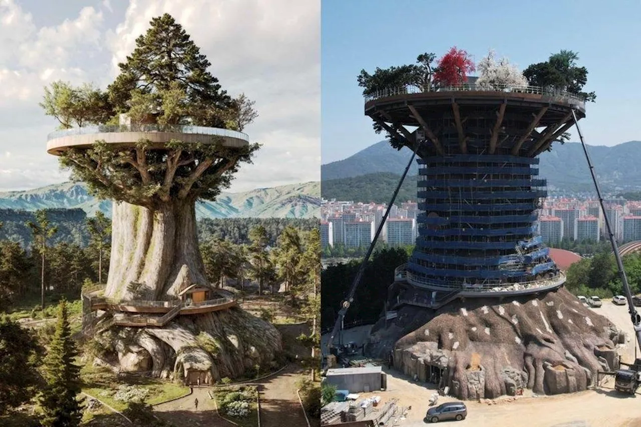 A South Korean city wanted ‘Big Tree’ landmark; It got a US$25mil letdown