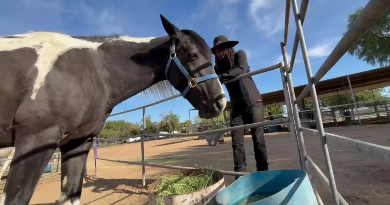 Phoenix horseman expands business to new Gilbert ranch during Black Business Month