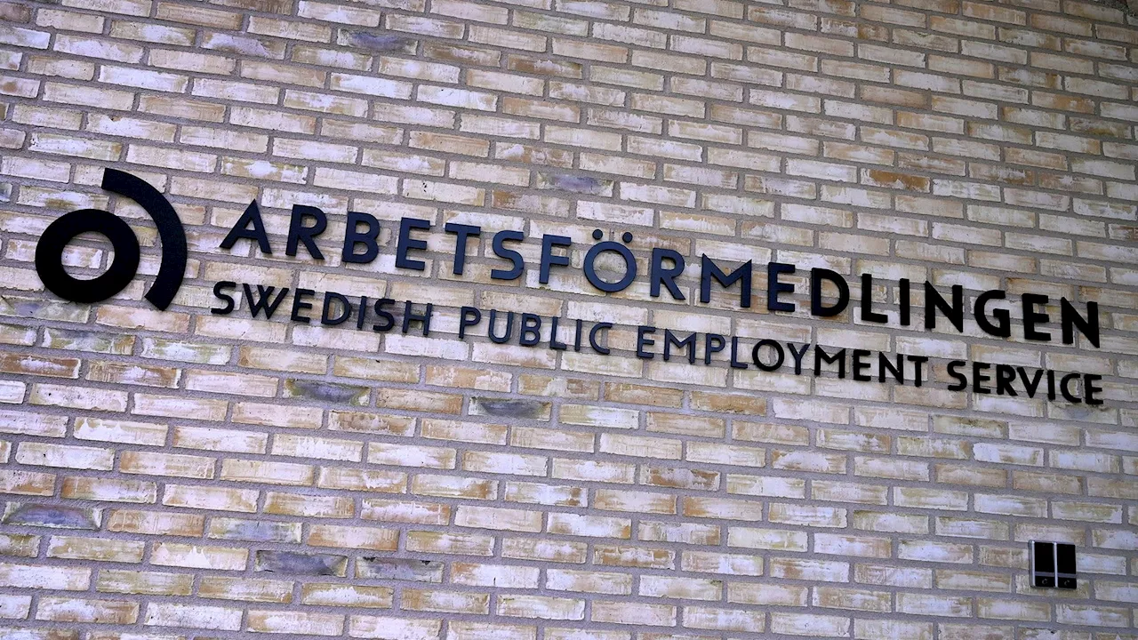 Hur kan en myndighet tillåtas fungera så illa?