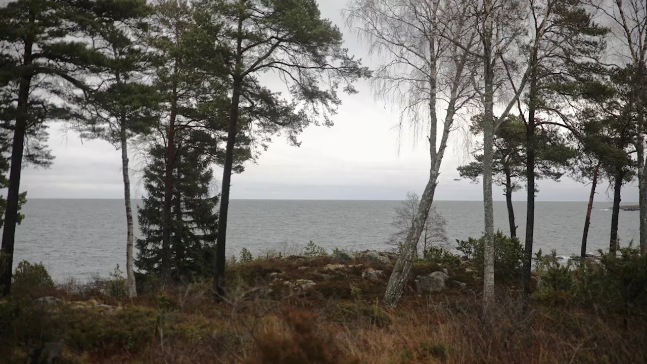 Ge invånarna större makt över sin mark – reformera strandskyddet
