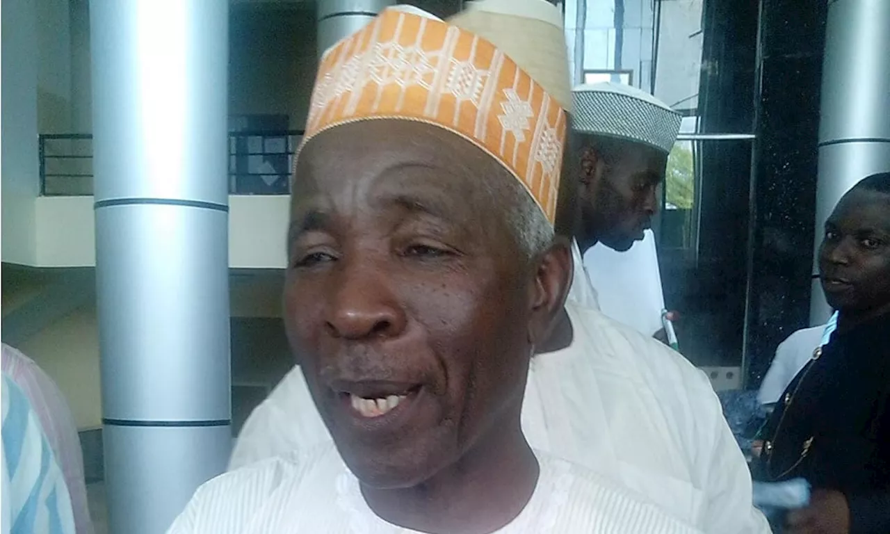 Buba Galadima: Tinubu won't get Kwankwaso's support due to FG’s role in Kano emirship tussle