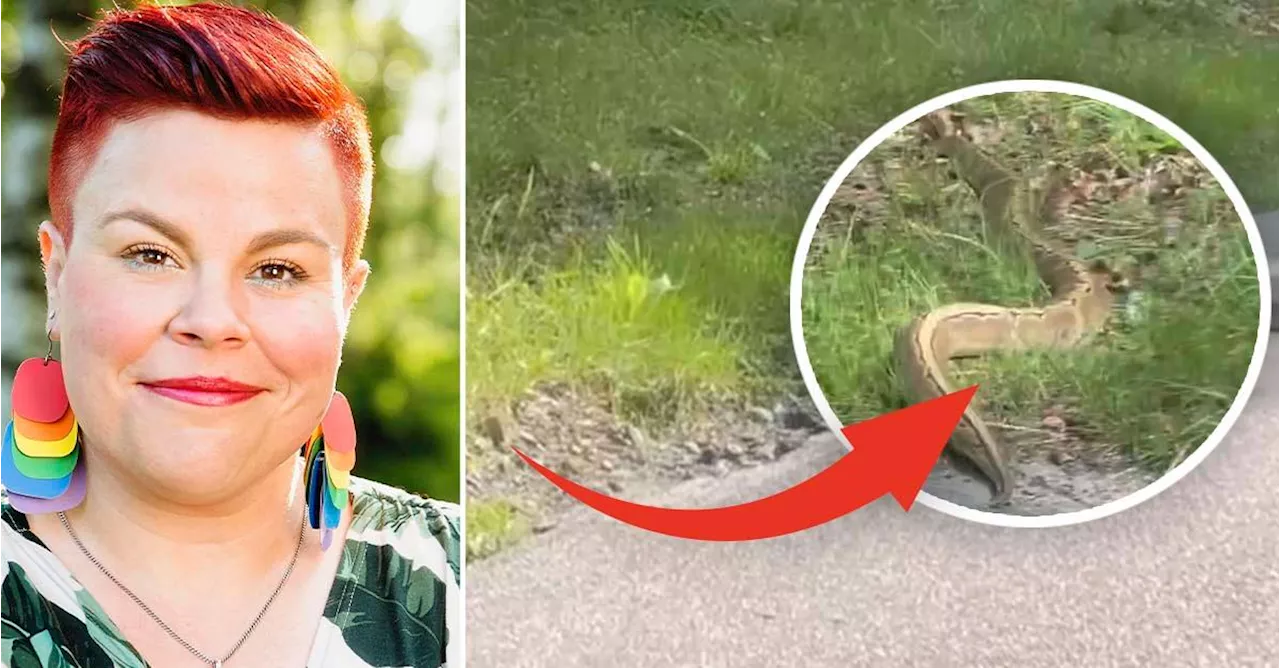 Malin, 38, fångade pytonorm på film