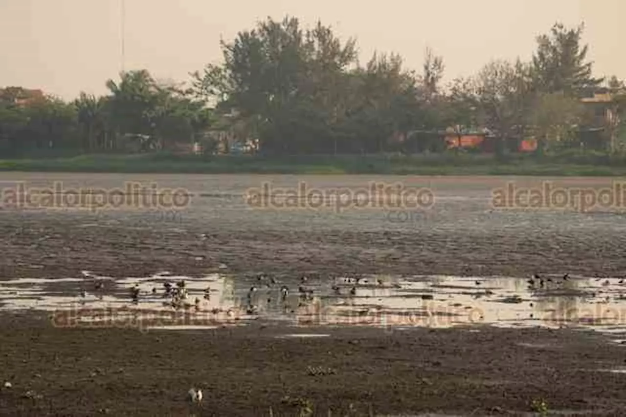 Julio de 2025 fue como el cuarto más seco en 30 años en Veracruz: PC