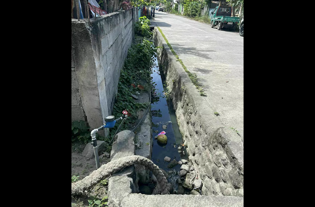 Dengue cases in Region 12 down by 40%