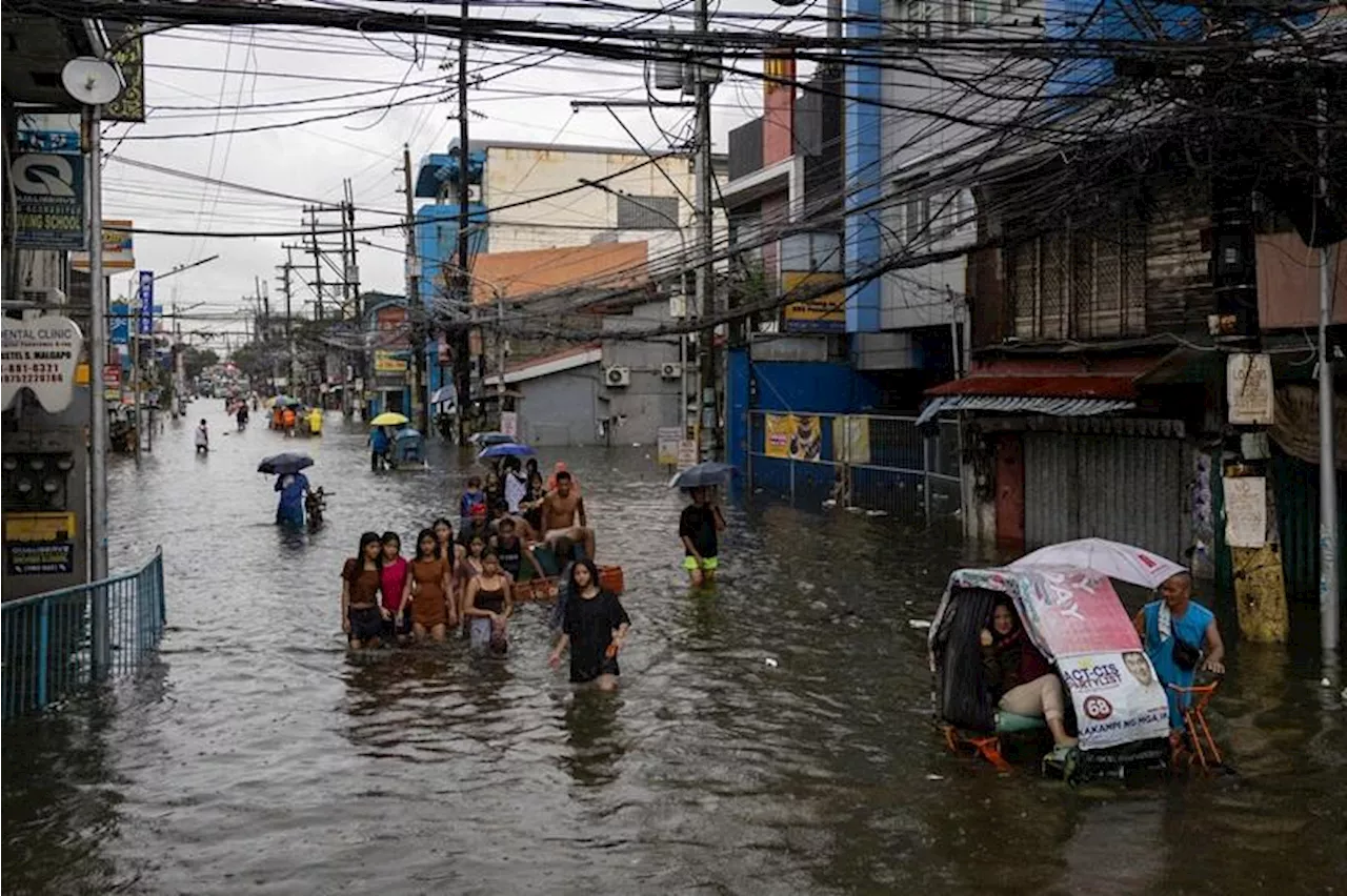 DOH warns vs. expected rise in PH leptospirosis cases