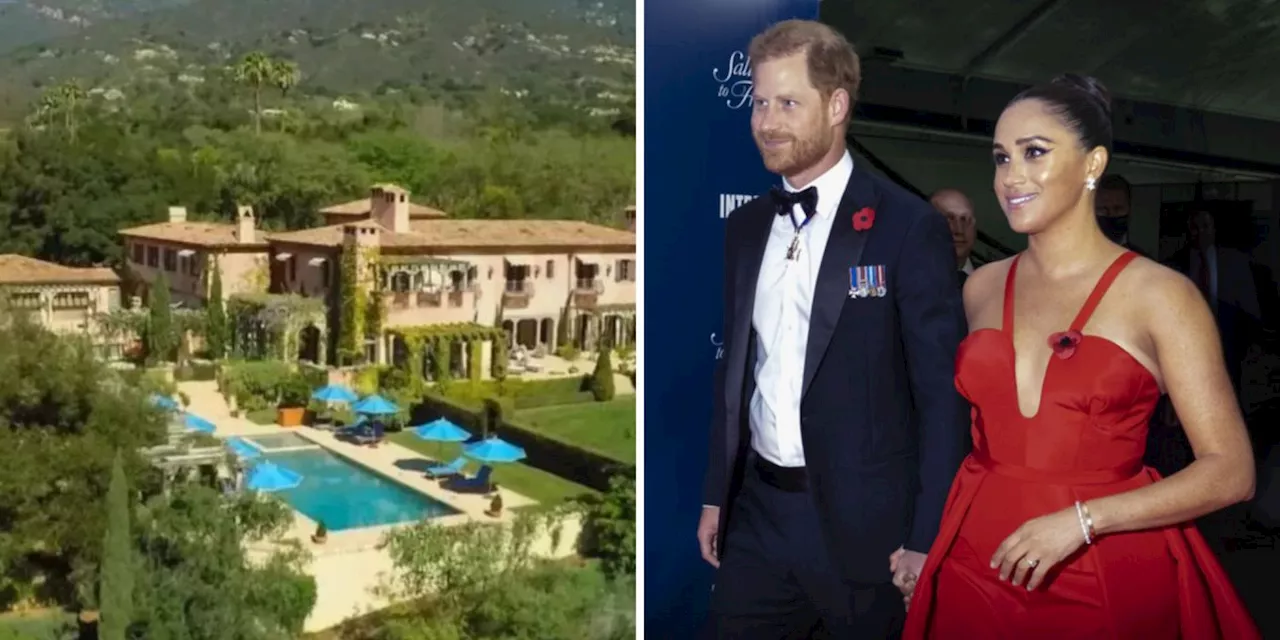 Wie wollen Prinz Harry und Meghan ihr teures Leben finanzieren?