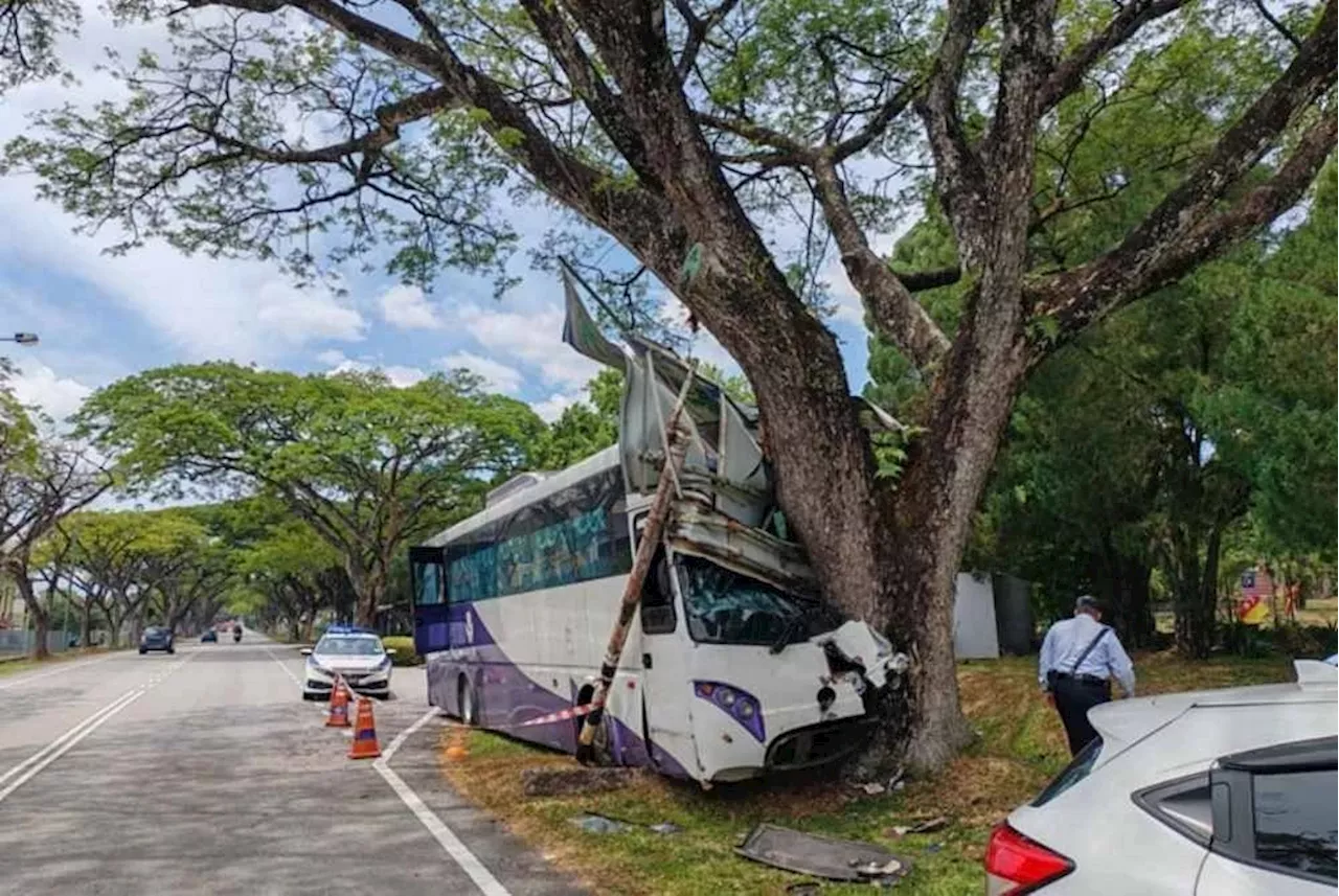 Bus carrying 30 pupils, five teachers crashes into a tree in Serdang