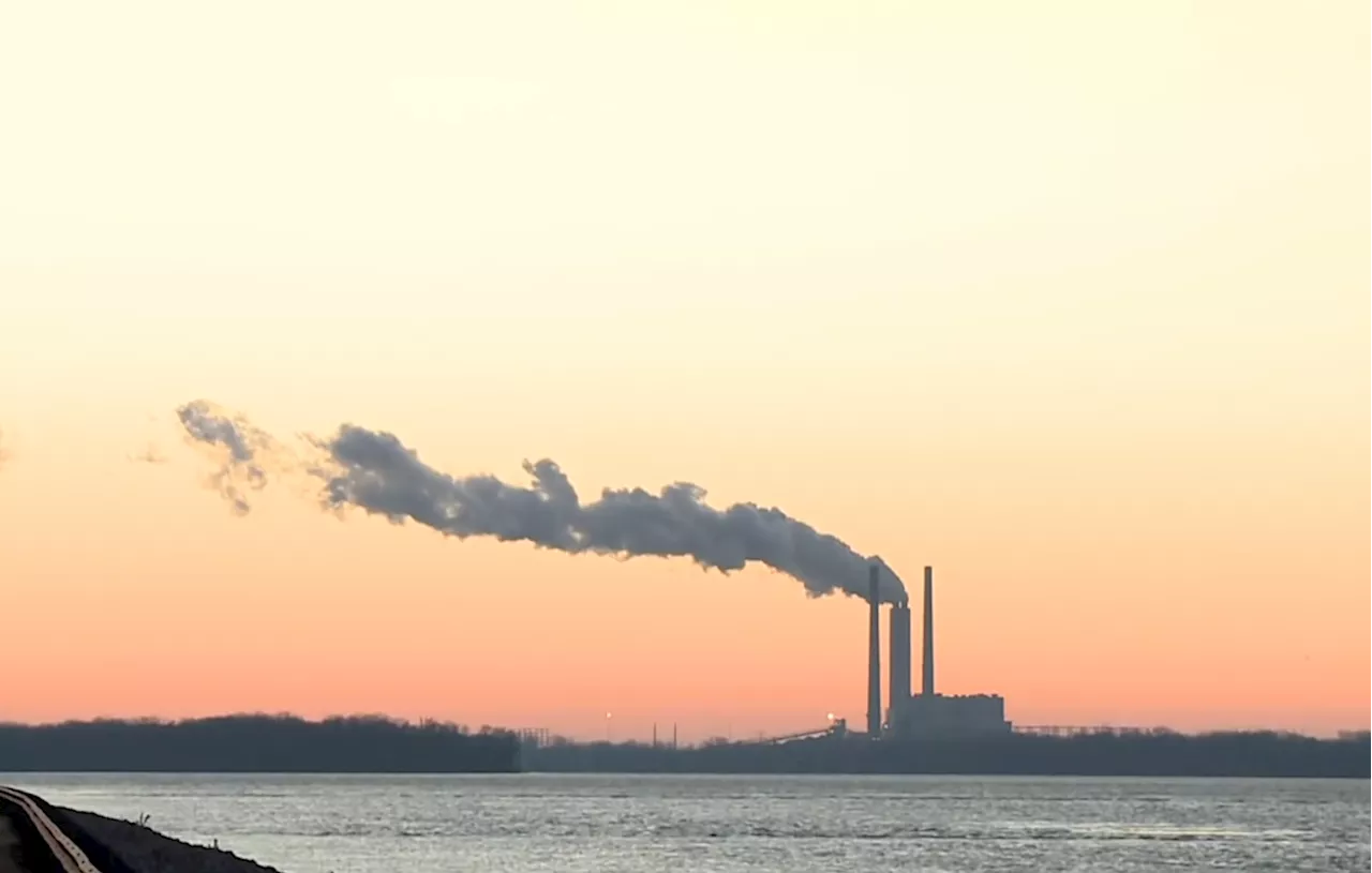 INSIGHT: Is carbon trading world’s biggest climate gamble or solution?