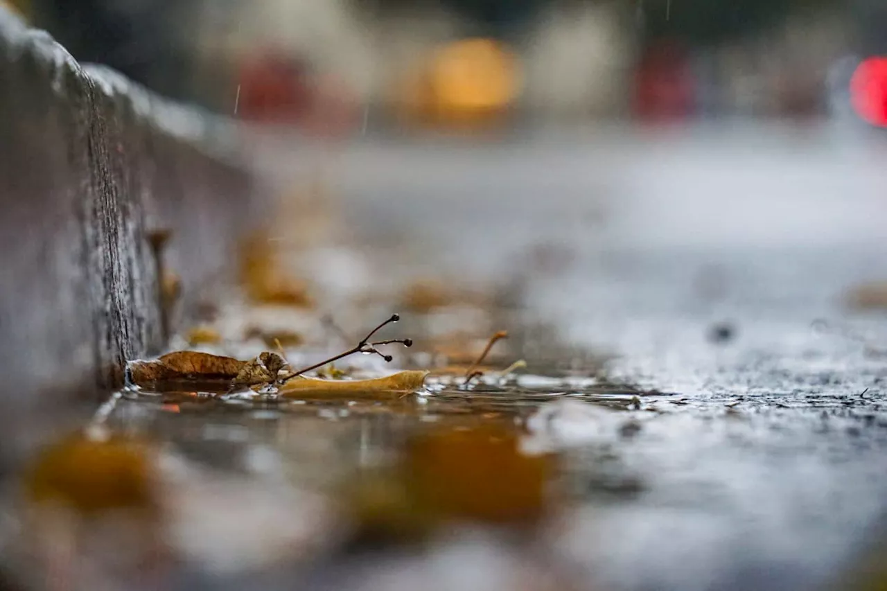 Scattered rain expected in parts of SA ahead of cold front next week