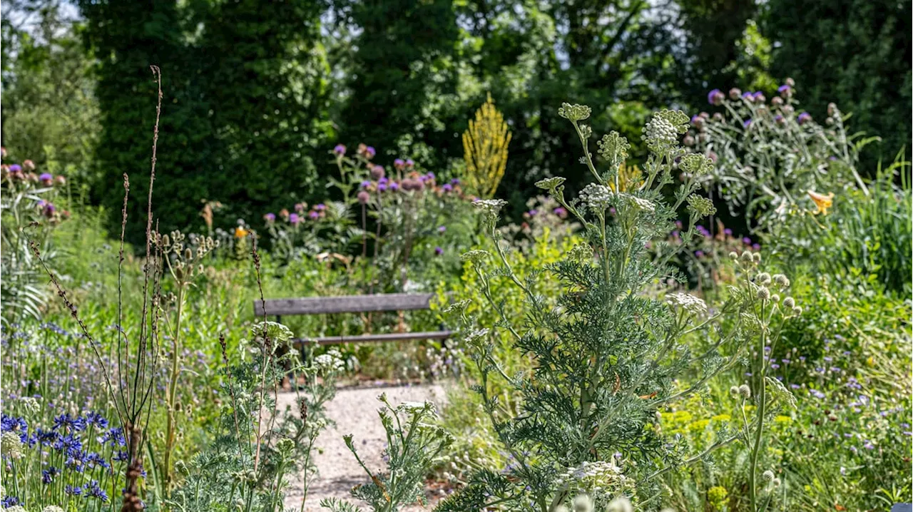 Montagsführung in Basel: So erleben Mitarbeitende ihren Garten-Arbeitsplatz