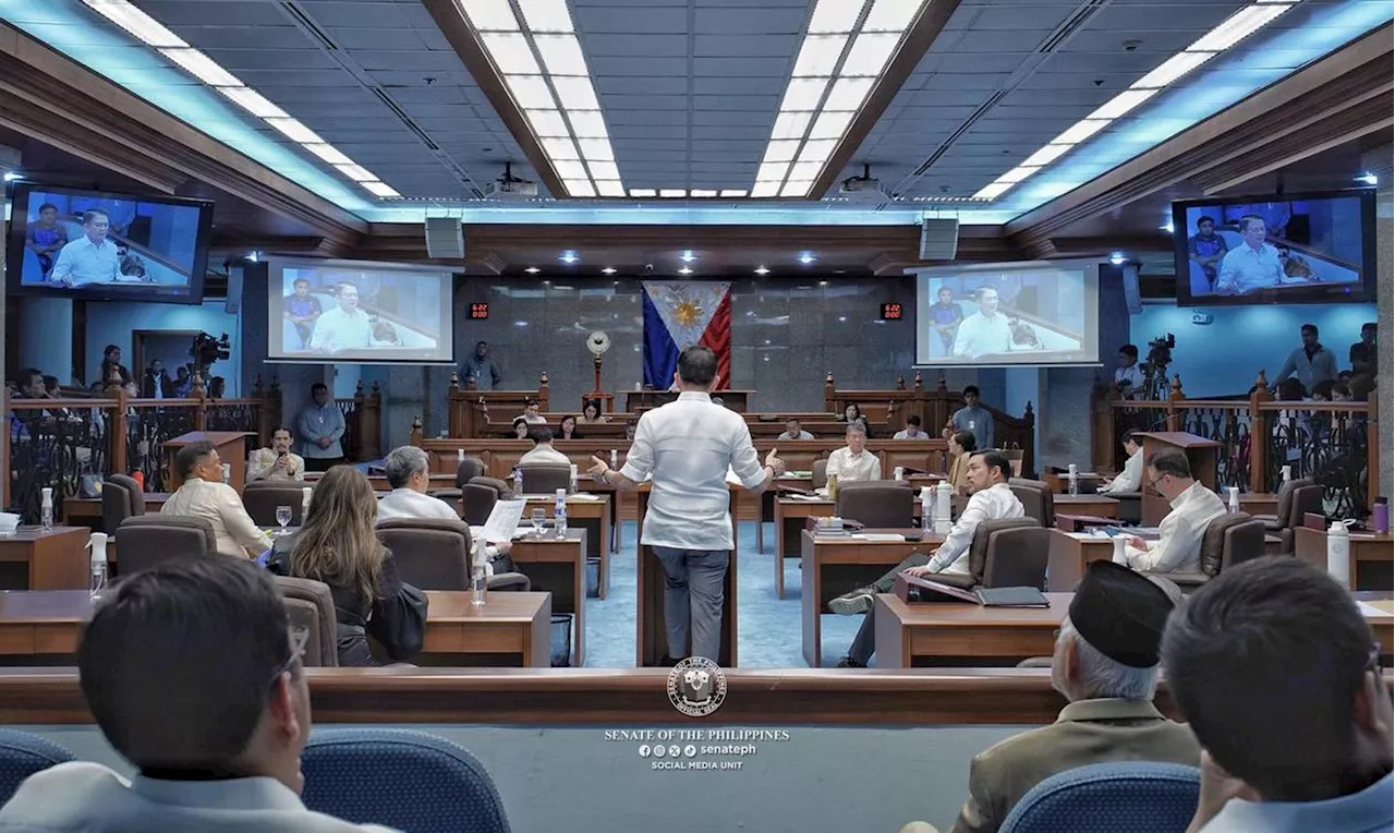 LIST: Senate Commission on Appointments members in the 20th Congress