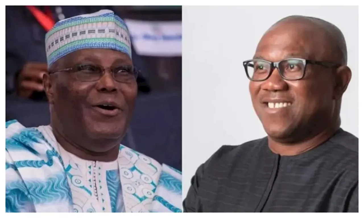 Atiku-Obi Alliance Could Jeopardize APC's Chances in 2027, Says APC Chieftain