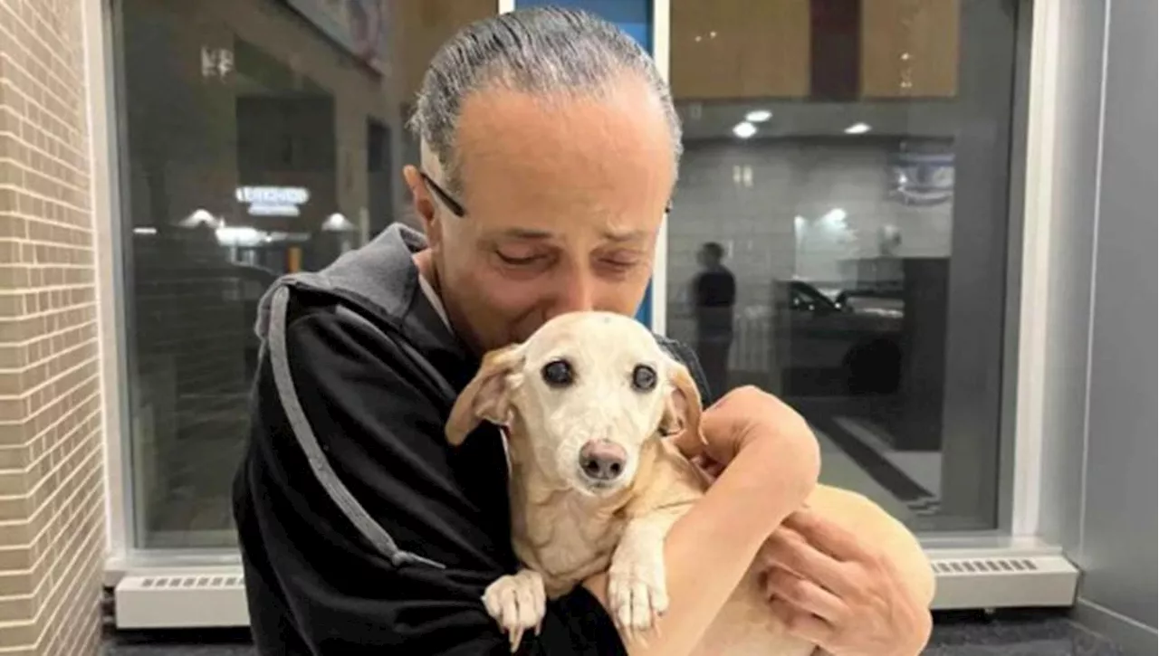 Il lieto fine del cane Bam Bam, per mesi il proprietario cieco lo ha cercato con un guinzaglio vuoto