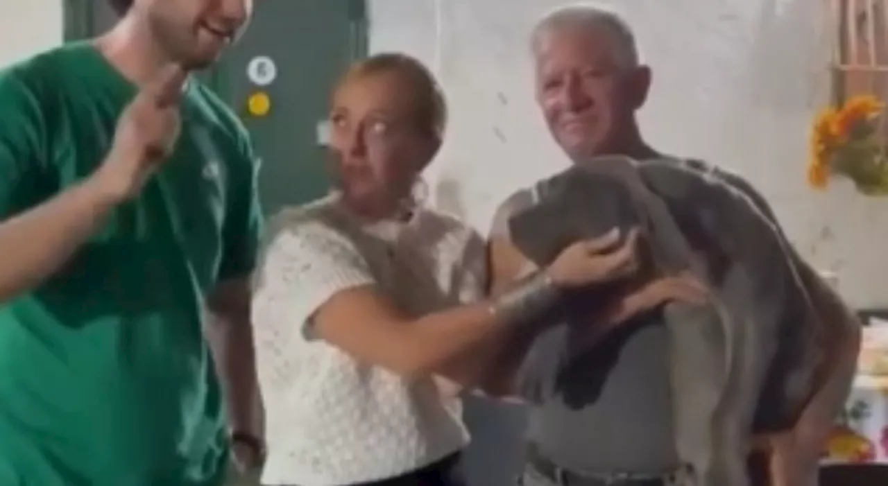 Giorgia Meloni in vacanza in Puglia, visita nella masseria che alleva cani. «Prendere un cucciolo? Magari, ma chi ha tempo»