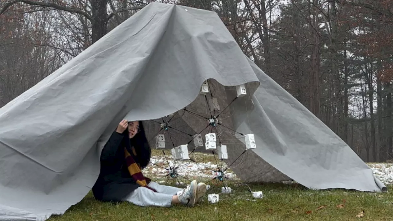 Modular robots crawl under logs, build bridges, and form shelters with drone support