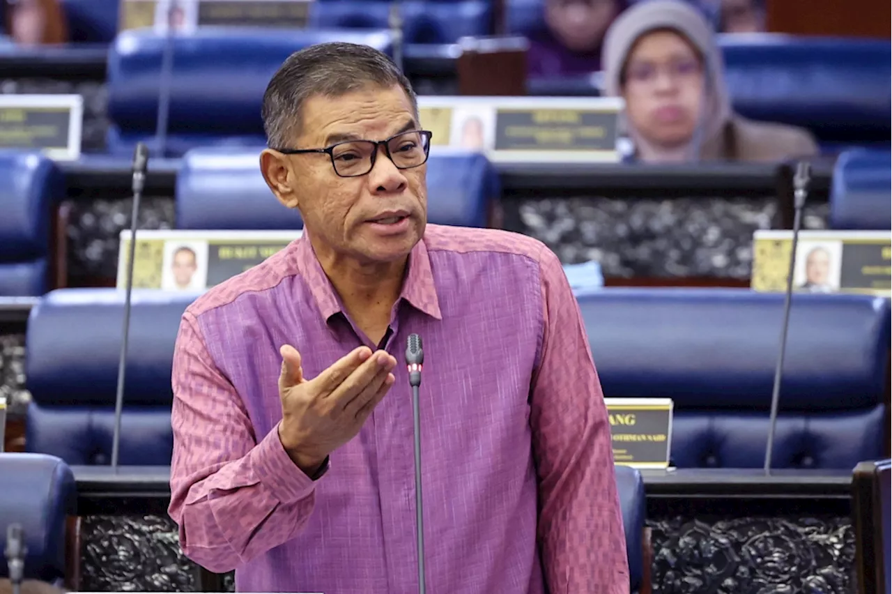 Constitution (Amendment) Bill on citizenship likely to be enforced next year, says Saifuddin Nasution